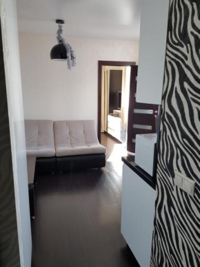 Apartment on Tyulpanov 41